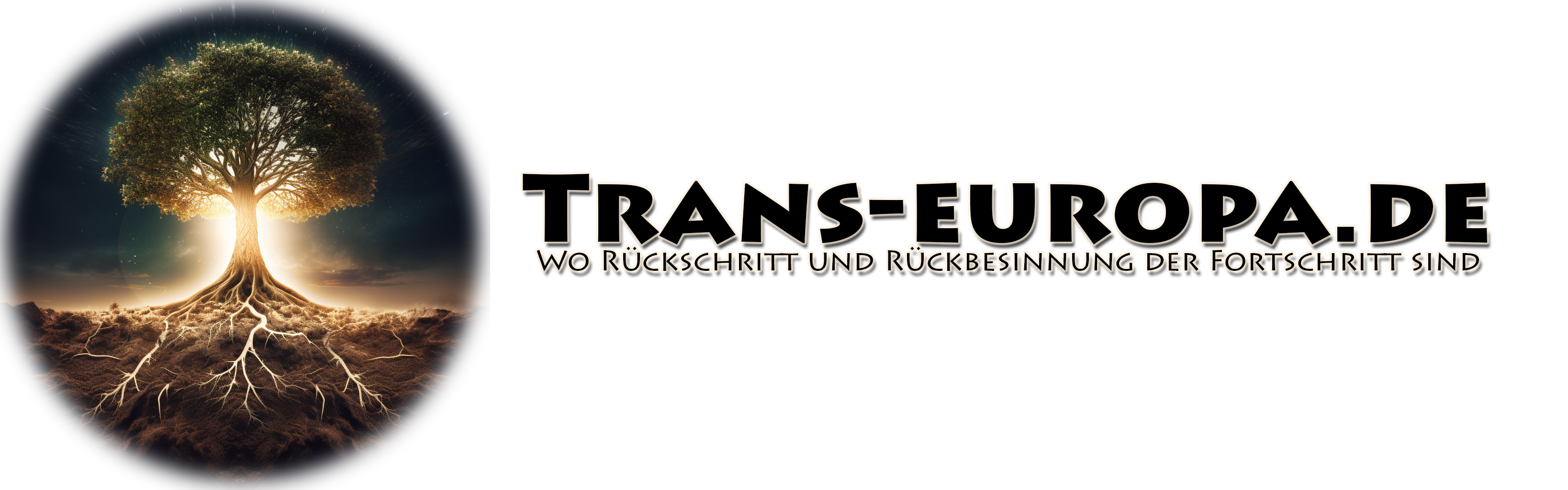 trans-europa.de